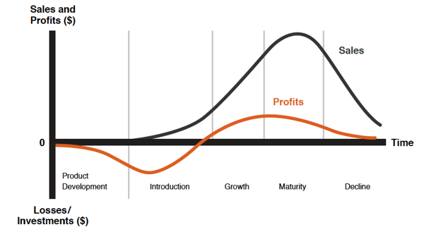 lifecycle stages